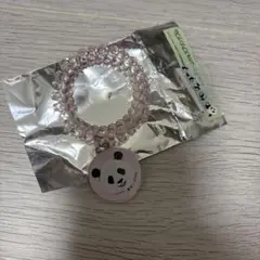 アドベンチャーワールド パンダ ランダムスプリングゴム 愛浜