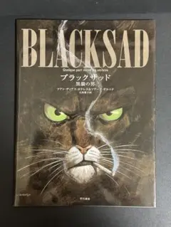 ブラックサッド : 黒猫の男