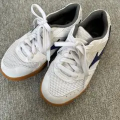 Mizuno 体育館シューズ 室内シューズ ホワイト/ネイビー 23