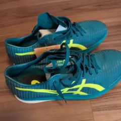 Item thumbnail for item 6916f433-69cf-472b-84e6-a2b114ca8168