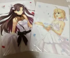 fate TYPE-MOON展　A4クリアファイル2枚セット　15年の軌跡