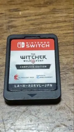 THE WITCHER WILD HUNT ケース無し