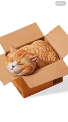 Item thumbnail for item 9c968038-f02c-4f13-ab68-aa268af42eda