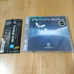 STILLING STILL DREAMING