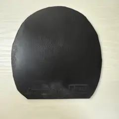 ディグニクス09c