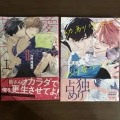 愛されたがりのサーフェイス 幼馴染じゃ我慢できない 1 百瀬あん　漫画　bl