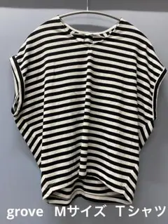 グローブ Mサイズ Ｔシャツ