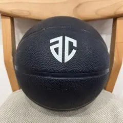 Altiri Chiba バスケットボール 2024-25
