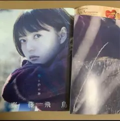 Item thumbnail for item bb6de884-2dbe-482c-b4f1-1f279433ad93