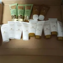 Item thumbnail for item 699b834d-1ccb-450d-b05c-1813d9401934