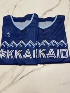 日本ハム　ファイターズ　WE LOVE HOKKAIDO ユニフォーム