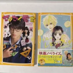 ハニーレモンソーダ センセイ君主 小説本