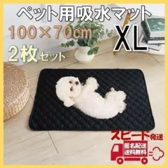 Item thumbnail for item 555ea9eb-4139-4ca0-8fab-c97e12131d33