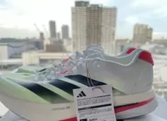 Item thumbnail for item 44754866-23f3-4c6a-9f75-17085ccb1663