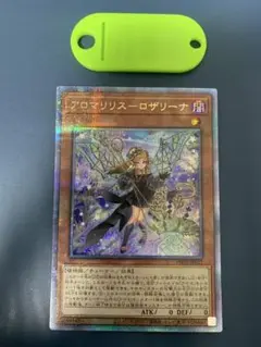 【特価】アロマリリス ロザリーナ　25th　ARS10 2025年最新】アロマリリスロザリーナ 25thの人気アイテム - メルカリ