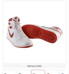 Item thumbnail for item 5d08ade6-2353-407d-b088-8f02d20013c8