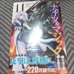 ナイツ&マジック 11