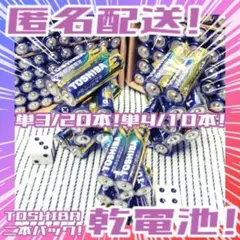 東芝アルカリ乾電池 単3/20本 単4/10本