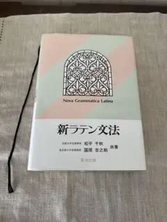 新ラテン文法　東洋出版　書き込みあり
