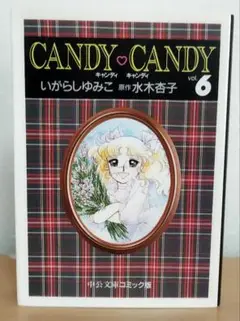 キャンディ・キャンディ 6巻 文庫