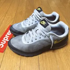NIKE AirMax Invigor Neon エアマックス
