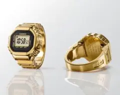 Item thumbnail for item f422998c-7be4-45bd-a150-c3d02005d5da