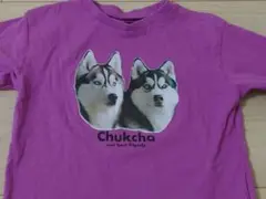 ハスキー　Ｔシャツ