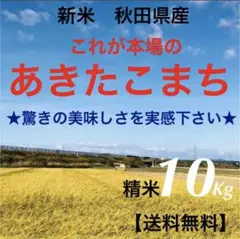 農家直送‼️令和4年度★新米★秋田県産 これが本場のあきたこまち精米10Kg