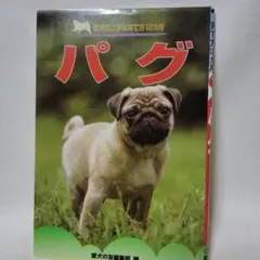 （★）パグ