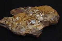 Item thumbnail for item 57203033-082f-4db8-8b10-2f74e685dc5d