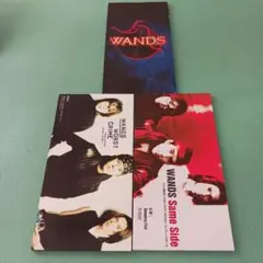 WANDS WORST CRIME / Same Side 他１枚、計３枚