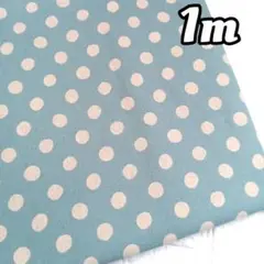 可愛い水玉❁コットンリネン1m