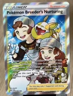 北米版　Pokémon Breeder's Nurturing ホロカード