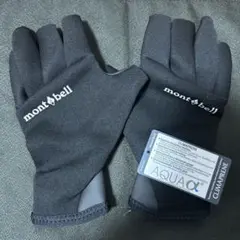 Item thumbnail for item 51d8fe4a-176e-48dd-ba3f-63502f94d773