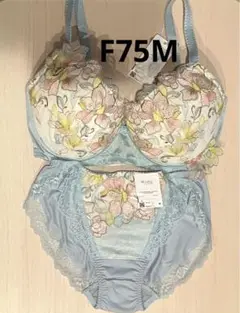 Item thumbnail for item f1a5cf0e-7d0d-46c3-82f7-a1d3abb168b0