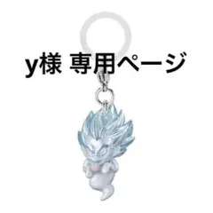 専用ページ