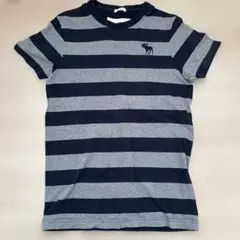 Abercrombie & Fitch ストライプ Tシャツ S アバクロ