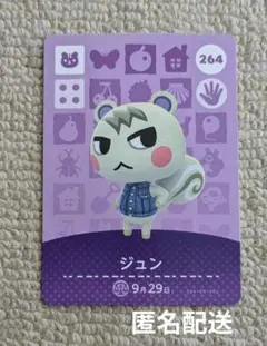 【匿名配送】どうぶつの森 amiiboカード　ジュン　アミーボカード