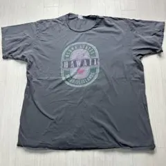 ハワイハイネケンパロディTシャツ2XL
