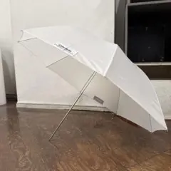 Item thumbnail for item beac2354-8a0c-4f18-9424-bb4df1875b56