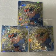【パウリー】にふぉるめーしょん ワンピース大海賊シールウエハース LOG9
