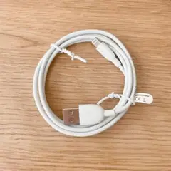 ⭐️匿名配送❣️iPhone ipad 充電 ケーブル 1m Lightning