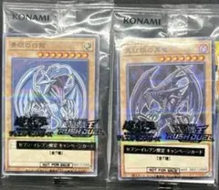 遊戯王 OCG 青眼の白龍＆真紅眼の黒竜セット セブンイレブン限定