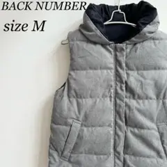 Item thumbnail for item e61cefb2-4d69-4361-abe5-b050316b8b4c