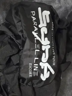 aespa 2024-25 LIVE TOUR ENCORE 折りたたみバッグ