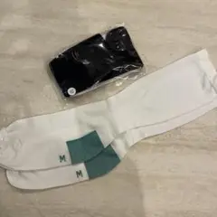 Item thumbnail for item b2dd1cd6-e88f-42d2-b395-1523698b7b85