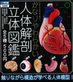 Item thumbnail for item a8ba5a73-7c2b-49cd-b660-0648f6111f8d