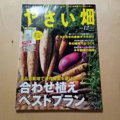 やさい畑　2020年12月号