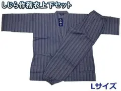 Item thumbnail for item 4e6fa661-e96c-405c-b61a-b5aaa85324ea