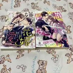 TL小説　オパール文庫　２冊